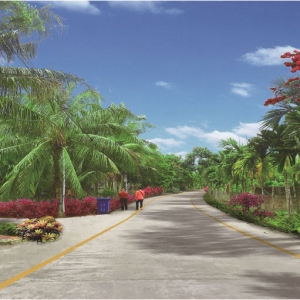 萬(wàn)寧市山根鎮(zhèn)排溪村村莊規(guī)劃（2021-2035）